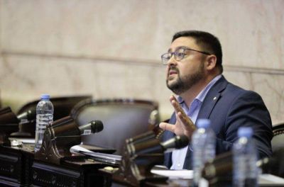 Dur�sima r�plica a S�nchez por sus dichos contra los mapuches
