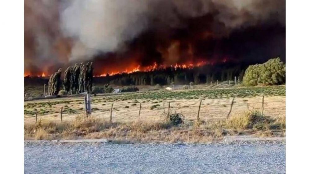 Incendios en la Patagonia: El Ministerio de Salud enviar vacunas y puso a disposicin un equipo de salud mental
