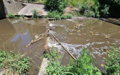 Se movilizan los vecinos del arroyo Rodr�guez