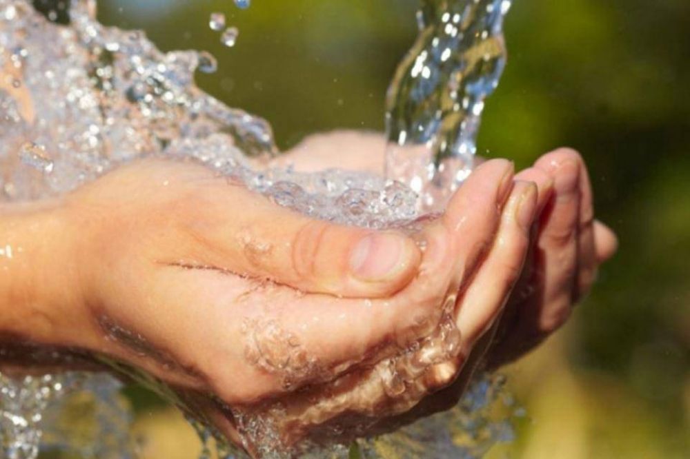 Salud p�blica: intervenciones en el cuerpo y el territorio 