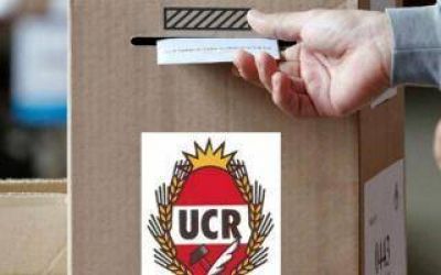 Elecciones internas radicales: Los resultados finales, distrito por distrito, por la conducci�n de la UCR bonaerense
