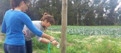 Nitrato y bacterias contaminan el agua en barrios de Mar del Plata