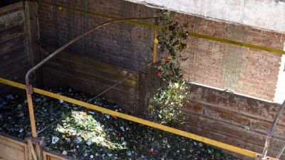 Capilla del Monte recicl� m�s de 18 mil kilos de vidrio