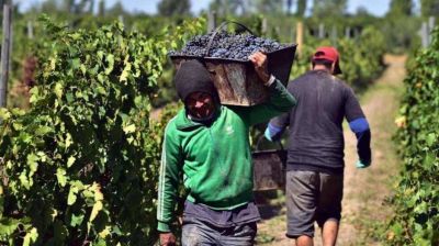 Conciliación obligatoria en la paritaria vitivinícola