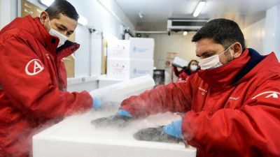 Hoy llega un mill�n de vacunas chinas y el viernes, m�s dosis desde Rusia