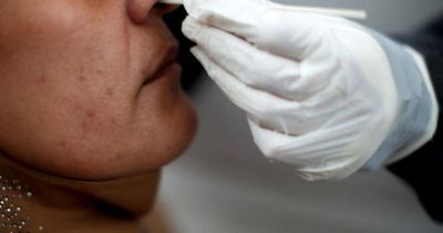 Bioqu�micos advierten sobre la venta ilegal de test para Covid-19 en C�rdoba