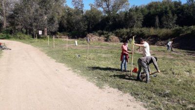 Vista Verde: plantaron �rboles nativos donde hab�a un microbasural