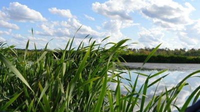 Vecinos autoconvocados vuelven a marchar por la Reserva Natural laguna de Rocha