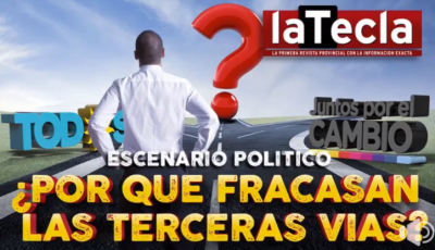 �Por qu� fracasan las terceras v�as?