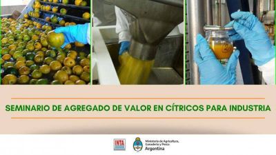Seminario de agregado de valor en ctricos para industria