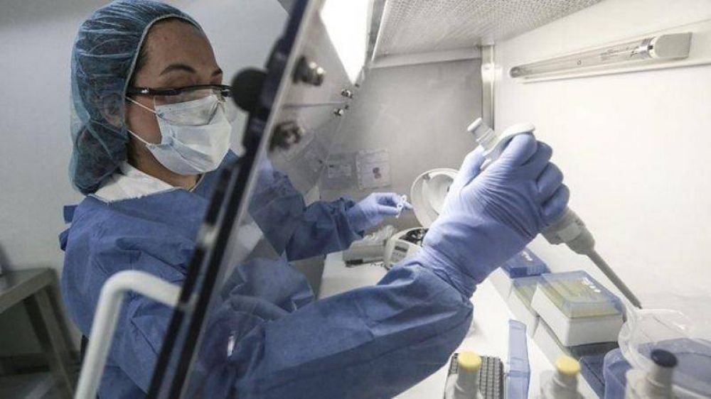 En 24 horas, m�s de veinte carlospacenses contagiados con coronavirus