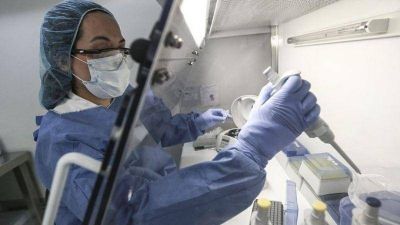En 24 horas, m�s de veinte carlospacenses contagiados con coronavirus