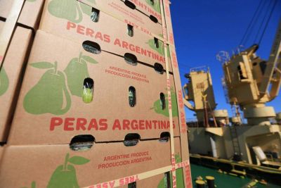 Las exportaciones frut�colas cayeron 15% en el inicio de la temporada