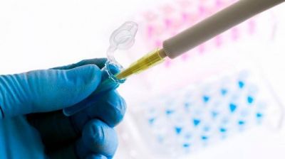 Qu� se sabe de la variante Andina del coronavirus, que se encontr� tambi�n en la Argentina