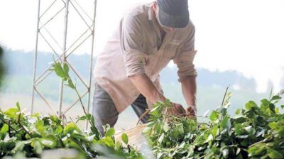 Aumenta un 48% la prestaci�n por desempleo para los peones rurales30 abril, 2021
