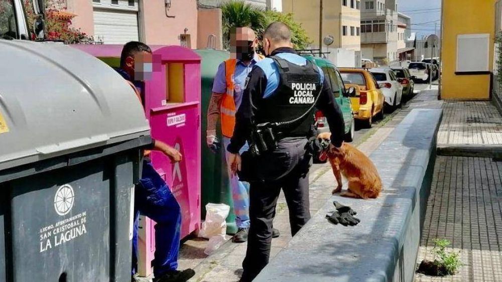 La Polica Local de La Laguna (Tenerife) rescata a un perro que fue abandonado en un contenedor