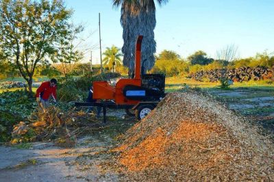 En Victoria se contin�a con el reciclado de restos vegetales