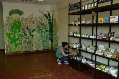 Alimentaci�n saludable y libre de agrot�xicos para una mejor vida