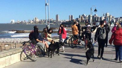 Mar del Plata sigue en alerta epidemiol�gica