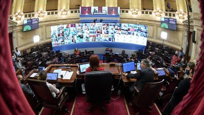 El Congreso empieza a analizar el proyecto para fijar restricciones