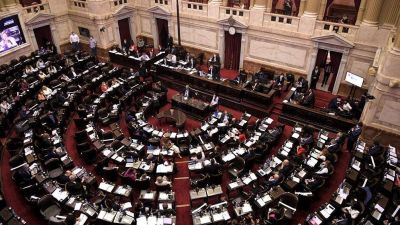 Diputados abre el debate sobre la postergaci�n de las elecciones por la pandemia