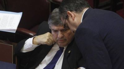 Los senadores aceptan que Alberto pueda cerrar escuelas, pero exigen más atribuciones a los gobernadores