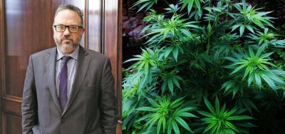El Gobierno le puso fecha a un proyecto para la industria del cannabis medicinal