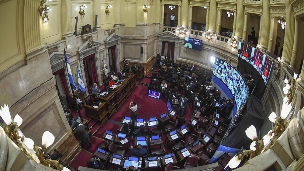 El Senado debate el proyecto de medidas para contener la pandemia