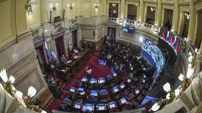 El Senado debate el proyecto de medidas para contener la pandemia