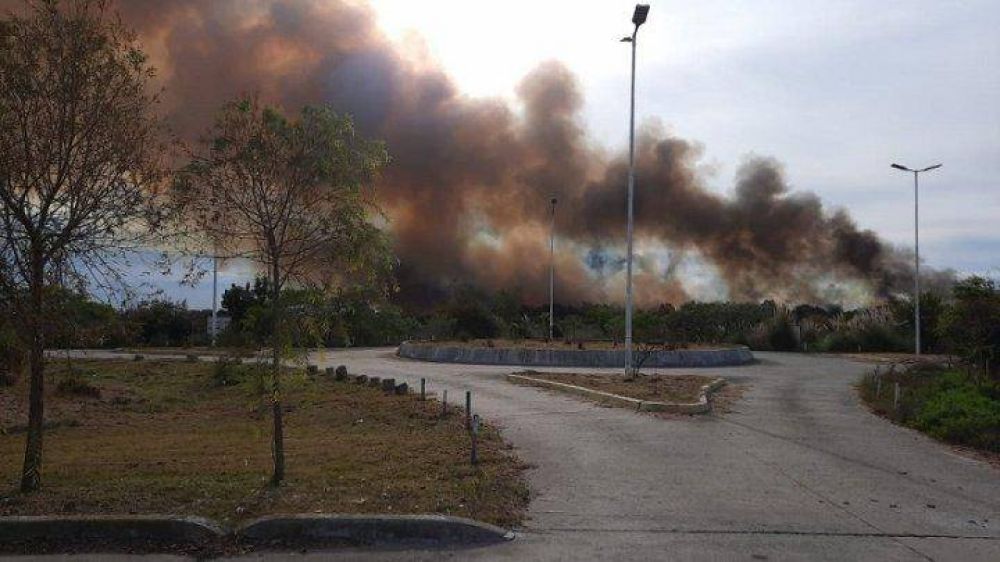 Humedales: denuncian incendios en la reserva provincial Santa Catalina de Lomas de Zamora