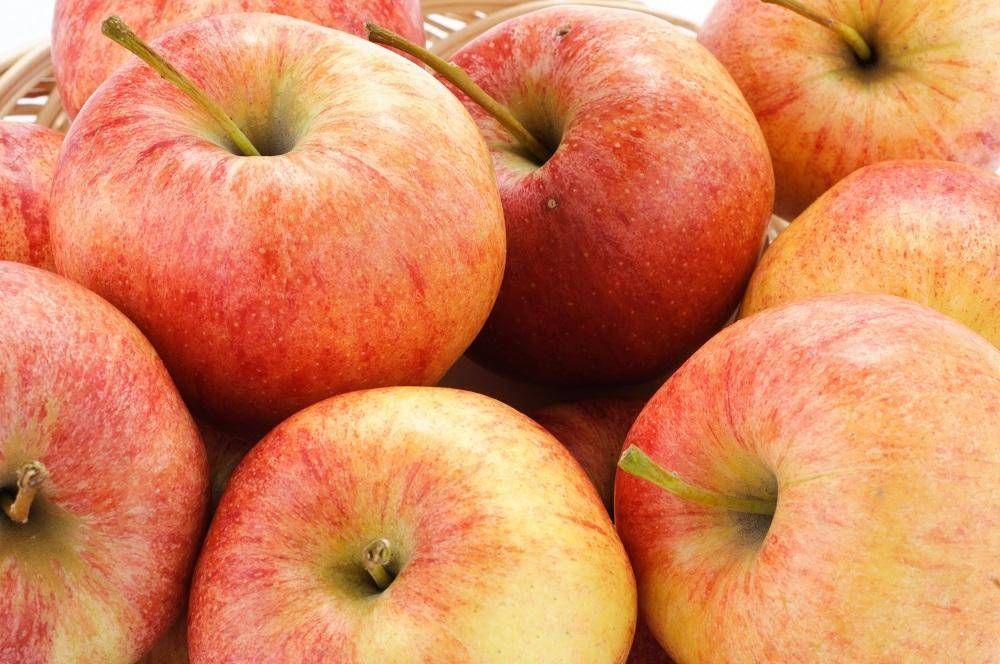 Exportaciones de manzanas argentinas caen 30% en primer cuatrimestre de 2021