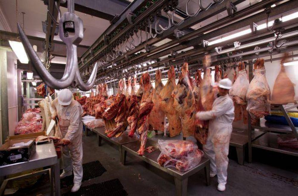 Exportacin de carnes: las maniobras que descubri el Gobierno y que haran subir la carne