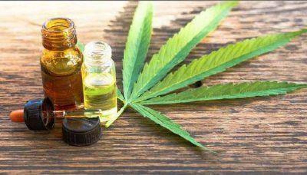 Entr en vigencia la ley de Cannabis Medicinal en Crdoba