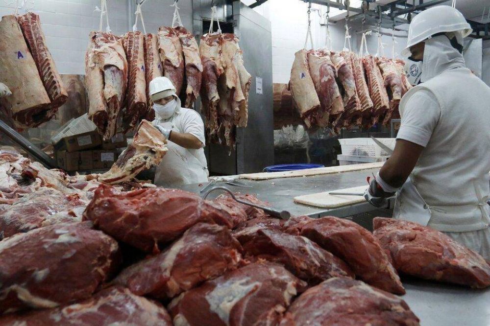 Denuncian a 19 frigorficos por supuestas irregularidades en la exportacin de carne
