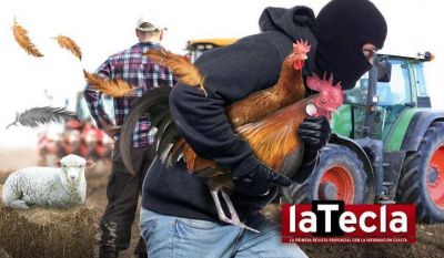 El delito rural en tiempos de pandemia