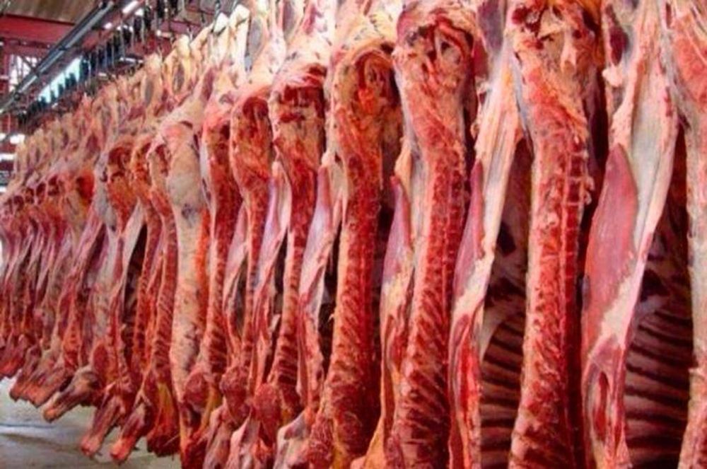 Una por una, las razones del Gobierno para suspender a 12 exportadores de carne