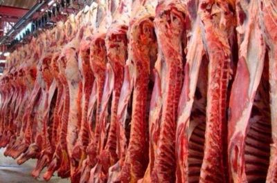 Una por una, las razones del Gobierno para suspender a 12 exportadores de carne