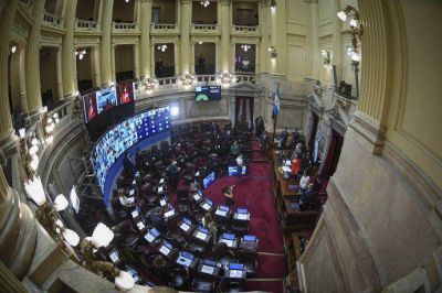 El Senado convoc� para este mi�rcoles a una sesi�n para debatir la postergaci�n de las elecciones