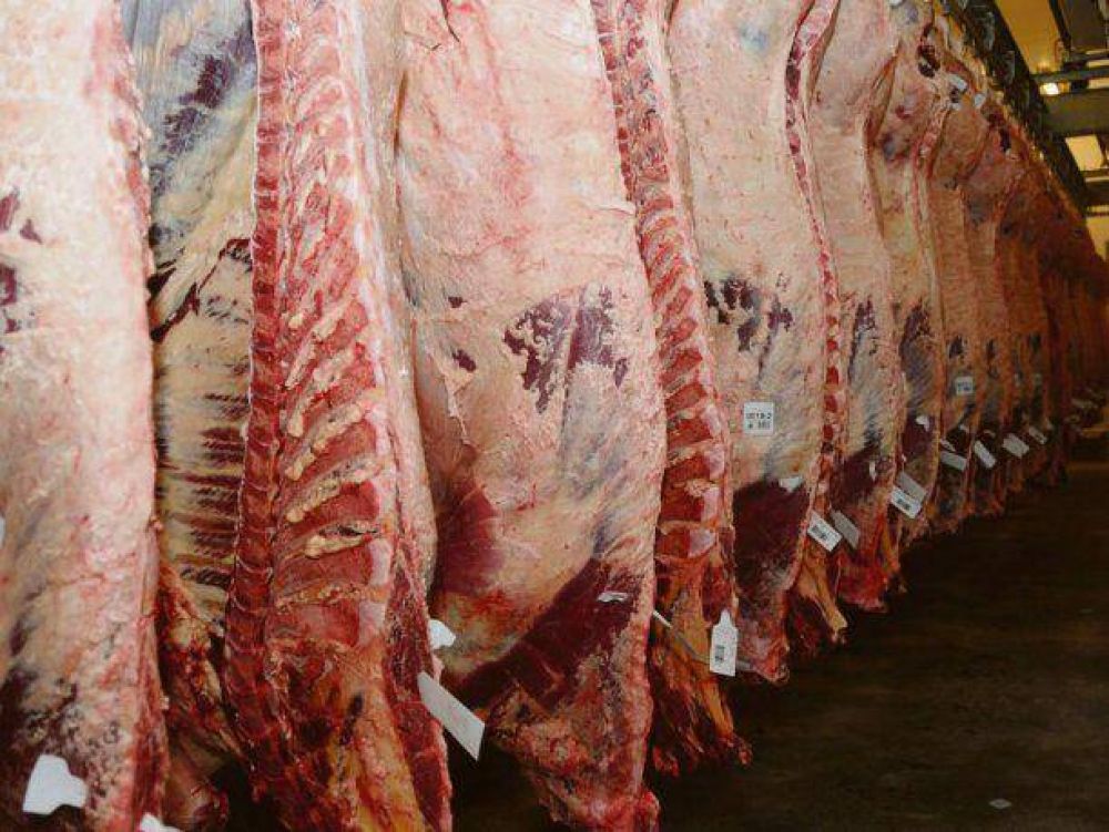 Carne: el sector ganadero ya encendi todas las alarmas