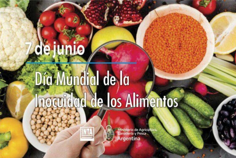 7 de Junio, Da Mundial de la Inocuidad de los Alimentos: INTA AMBA acompaa a productores y productoras hortcolas en la poscosecha