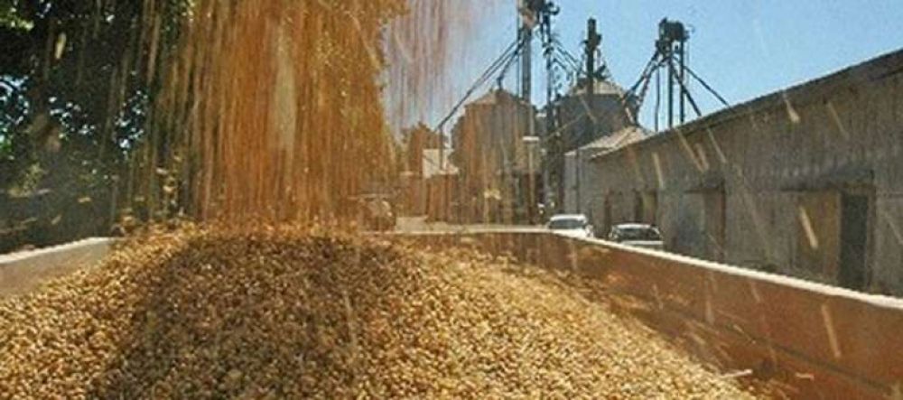 El BCRA suspendi a Extrugreen, cerealera vinculada a Vicentin, por no liquidar divisas