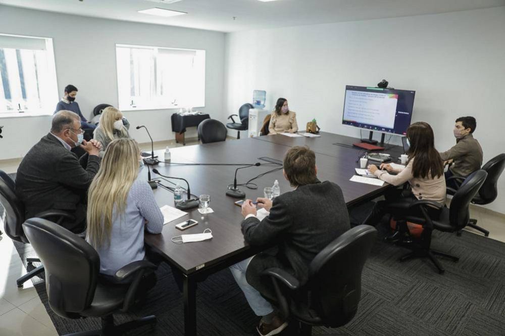 Barb�s particip� de la comisi�n que trata el proyecto de compra de vacunas