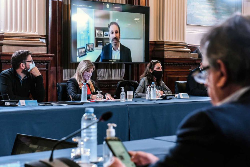 Ley no compatible, clusulas de inmunidad y desmentidas: 10 definiciones de Pfizer en Diputados