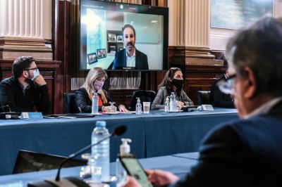 Ley no compatible, cl�usulas de inmunidad y desmentidas: 10 definiciones de Pfizer en Diputados