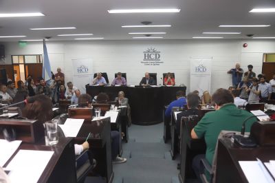 Pase de facturas entre el presidente del HCD y el titular del bloque de JxC en tensa sesi�n virtual