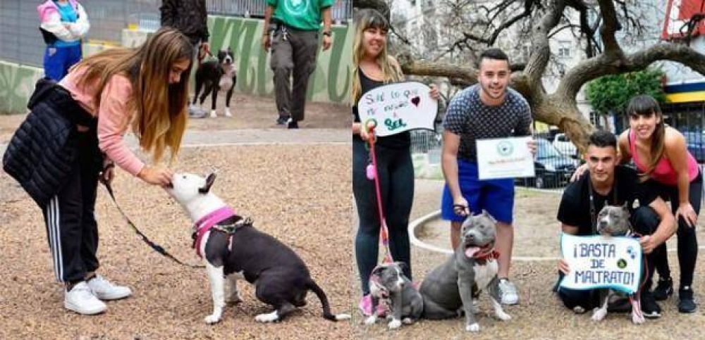 El Sindicato de Trabajadores Caninos cuestion el registro de perros potencialmente peligrosos que se impulsa en La Plata