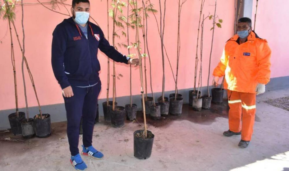Ponen en marcha en Santiago un nuevo eco canje de botellas pl�sticas por �rboles