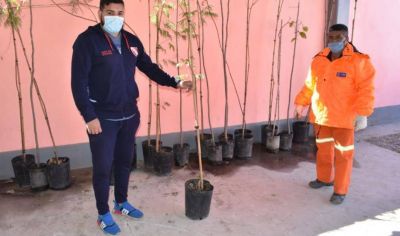 Ponen en marcha en Santiago un nuevo eco canje de botellas pl�sticas por �rboles