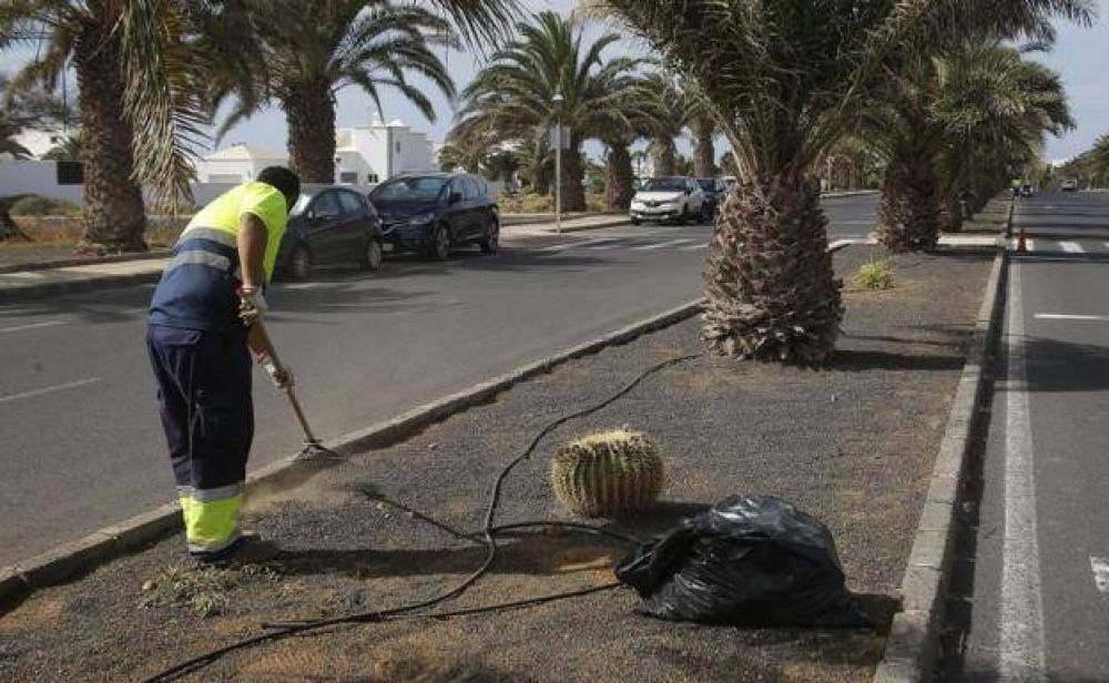 Urbaser descarta seguir cuidando las zonas verdes de Teguise otro ao ms