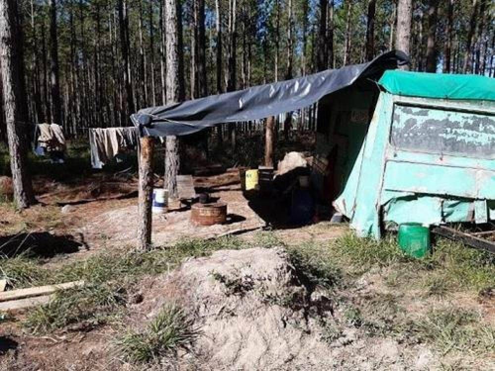 Descubren empleo esclavo y realizan una denuncia penal por explotaci�n laboral a establecimiento forestal correntino